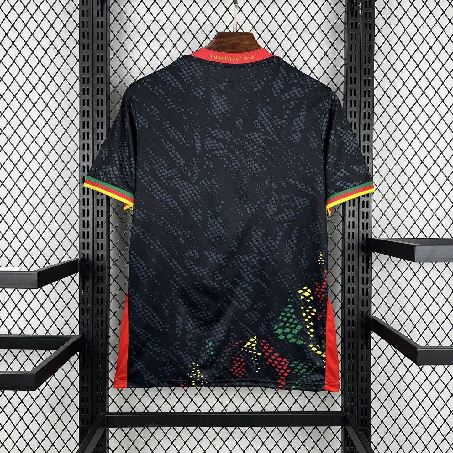 MAILLOT CONCEPT CAMEROUN 2025/2026