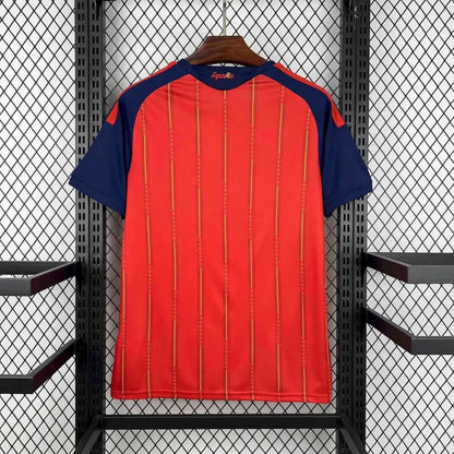 Maillots Espagne 2 étoiles ⭐️