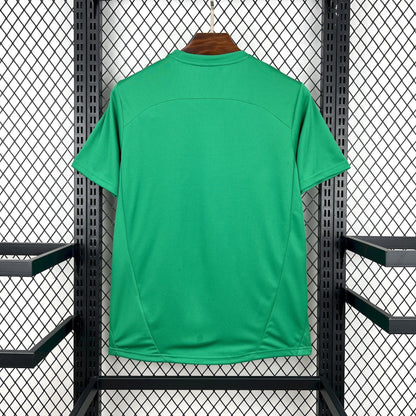 MAILLOT PALMEIRAS 2025/2026